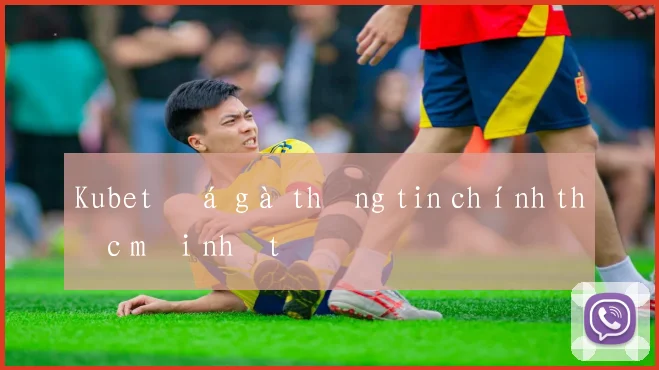 Kubet đá gà thông tin chính thức mới nhất