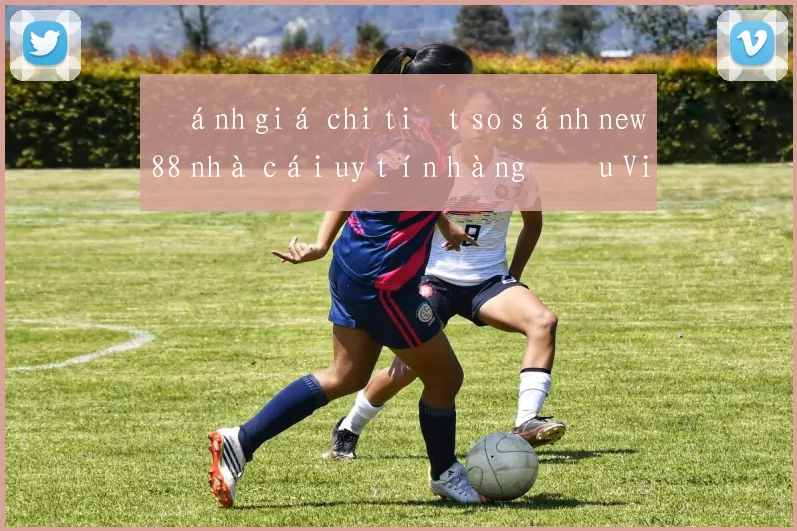 Đánh giá chi tiết so sánh new88 nhà cái uy tín hàng đầu Việt Nam